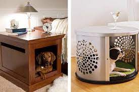 the dog house places indoor dog