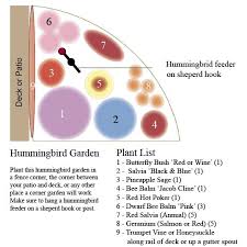 Hummingbird Garden Plan Hummingbird