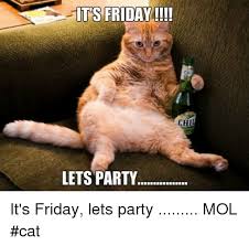 Maybe you would like to learn more about one of these? Its Friday Lets Party It S Friday Lets Party Mol Cat Friday Meme On Me Me