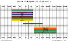 Pollen Count Northwest Asthma Allergy Center