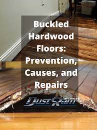 buckling hardwood flooring causes