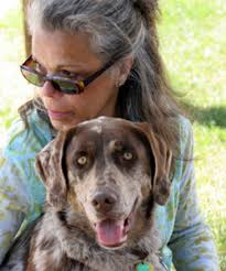 Crate training is the process of teaching a pet to accept a dog crate or cage as a familiar and safe location. Catahoula Training Learn All About Training Catahoulas Taking Care Of Them
