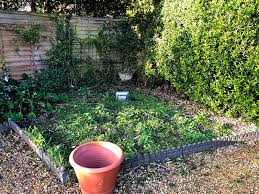 Build A Shed Base Out Of Paving Slabs