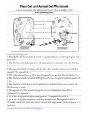 plant cell and cell worksheet