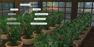 What Is The Highest Paying Plant In Sims 4