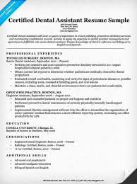 Dental Assistant Resume Template 7 Free Word Excel Latter