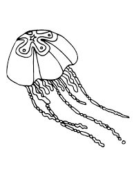 In many venomous species, the tentacles are dangerous even after the jellyfish has died. Star Jellyfish Coloring Page Download Print Online Coloring Pages For Free Color Nimbus