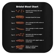 Amazon Com Thiswear Funny Doctor Gifts Bristol Stool Chart
