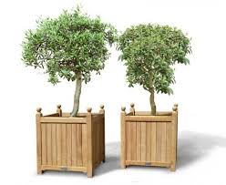 Pair Of Extra Large Versailles Planter