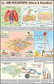 Air Pollution Effects Remedies For Man Enviroment Chart