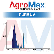 Agromax Pure Uv T5 Bulb 4 Foot