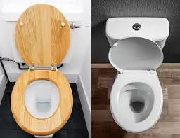 wood vs plastic toilet seats which is