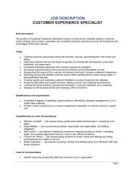 customer experience specialist job