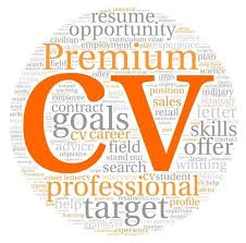 Impressive CVs   Early Career Professional CV Writing Service Allstar Construction CV writing and interview skills workshop