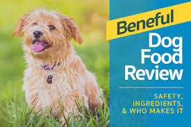 beneful dog food review safety