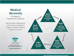 Medical Necessity Leveling Charts Emergency Department Services