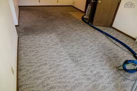 carpet cleaning albertville mn brown