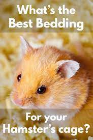 bedding for your hamster s cage