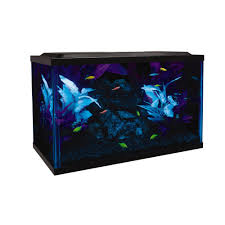 Glofish Glass Aquarium Kit 10 Gallon 18 5 L X 10 5 W X 13 H Petco