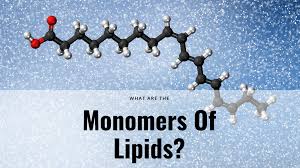 what are the monomers of lipids