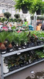 Store hours vary by location. Garden Center Garden Centre At The Home Depot In Calgary Ab Liveway
