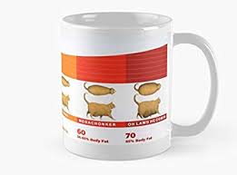 Amazon Com Cat Chonk Chart Mug Standard Mug Mug Coffee Mug