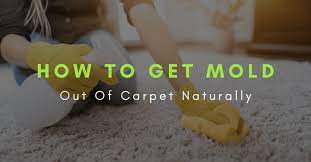 how to get mold out of carpet naturally