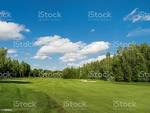 Countryside Golf Course Green Cutted Grass On Field Forest And ...