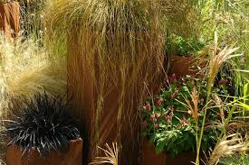 five great grasses for containers