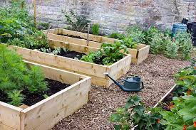 Raised Beds Gardens Have Great Results