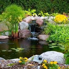 Water Gardening Ideas Pond How Tos