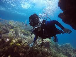 How old to scuba dive is dependant on both physical and mental abilities. A Ha Scuba Diving Ahascubadiving Twitter