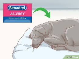 determine benadryl dosage for dogs