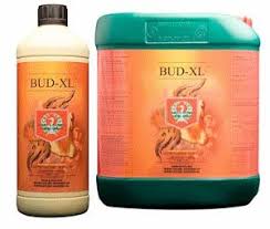 Bud Xl 5 Liter