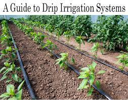A Guide To Drip Irrigation Systems