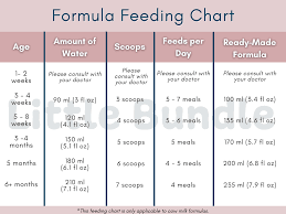 newborn formula feeding schedule new