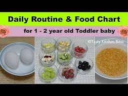 complete t plan baby food recipes