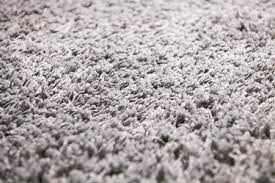 how to treat your carpet for shedding