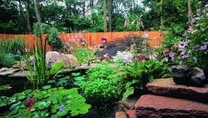 How To Build A Two Level Pond Ehow Uk