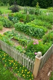 15 Garden Fencing Ideas For Your