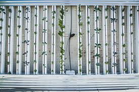 vertical gardening tips and ideas to