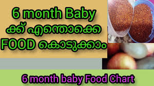 6 Month Baby Complete Food Chart Malayalam Diy Baby Food