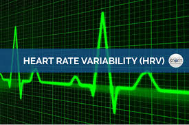 Heart Rate Variability Hrv Science For Sport