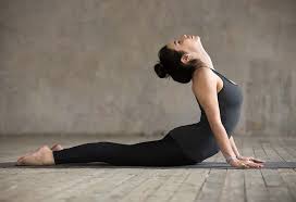 yoga poses for beginners yoga day