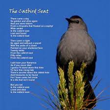 the catbird seat a plot