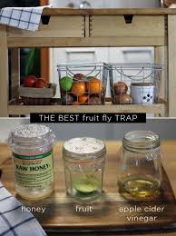 get rid of fruit flies naturally
