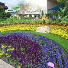 Plant A Pride Rainbow Garden