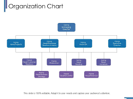 Organization Chart Ppt Outline Guide Powerpoint Shapes