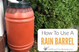 how do rain barrels work get busy