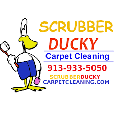 carpet cleaning in lees summit mo